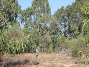 ביקור אחל"ה בעיר התעש